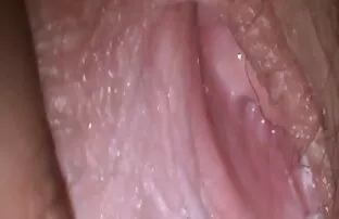 سه سگ کنترل خود را از دست فیلمسکسی کم حجم داده و تسلیم به فسق